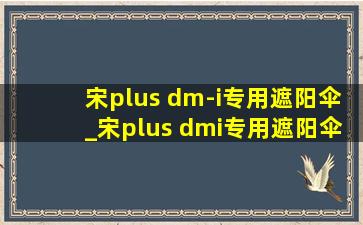 宋plus dm-i专用遮阳伞_宋plus dmi专用遮阳伞推荐